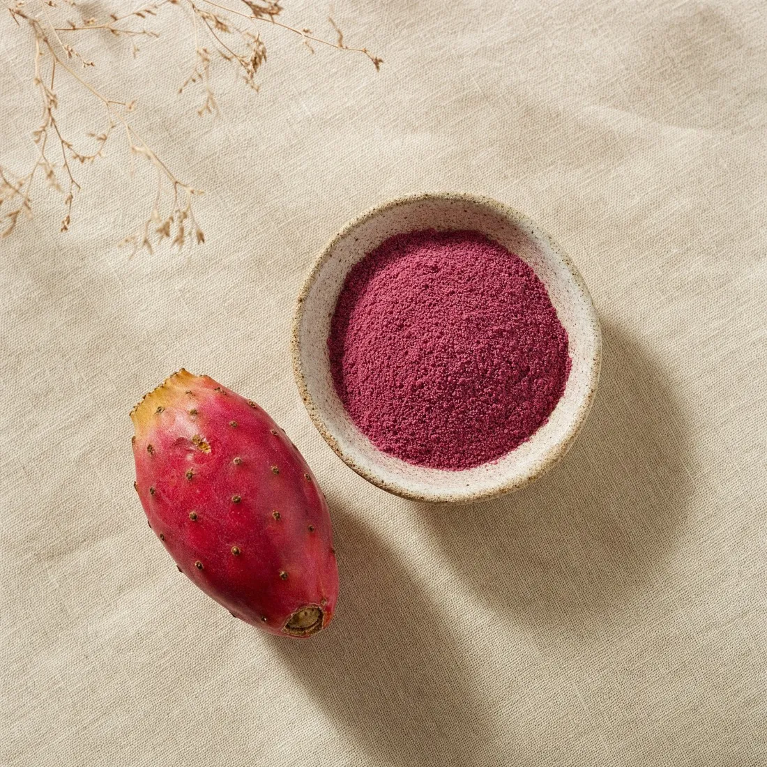 Prickly Pear Cactus Powder dehydrated powder